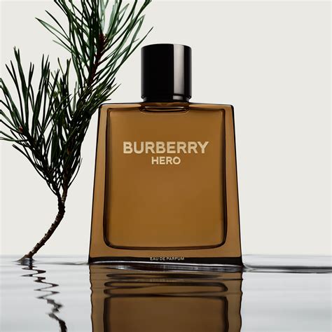 best burberry cologne for her|burberry by for men cologne.